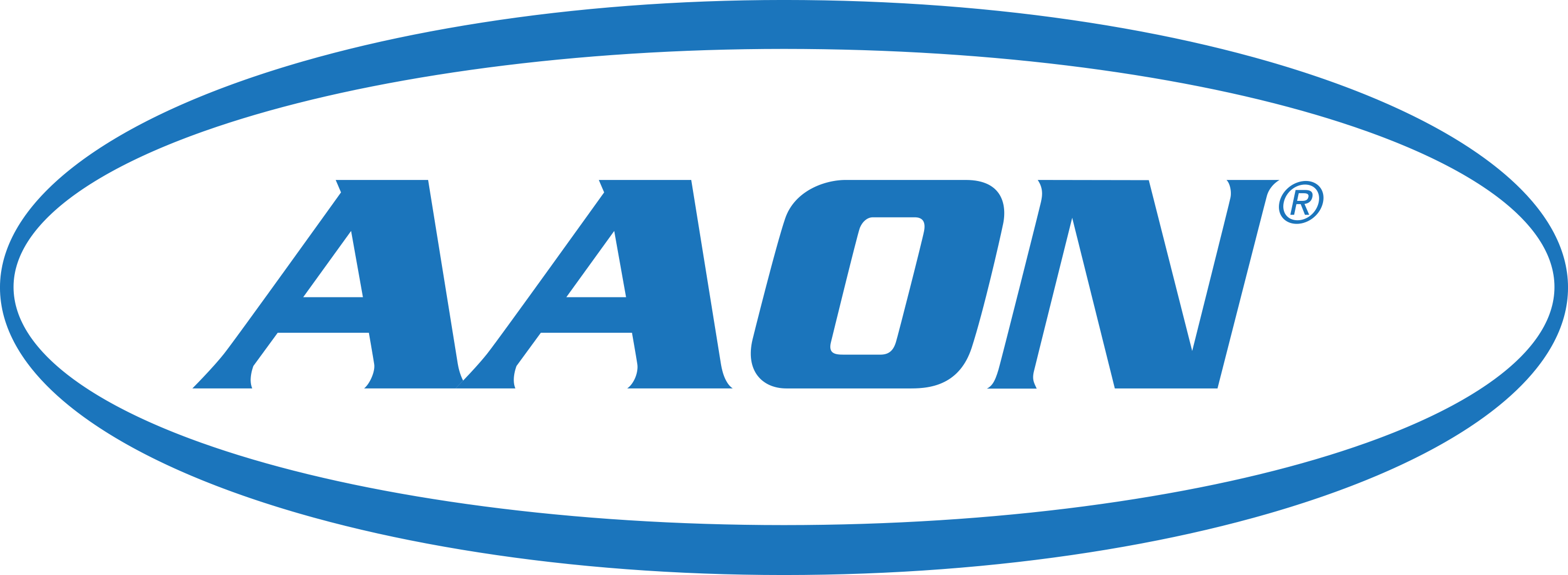 AAONPartsSwag logo