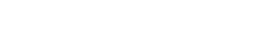 Shop Bullish Group logo