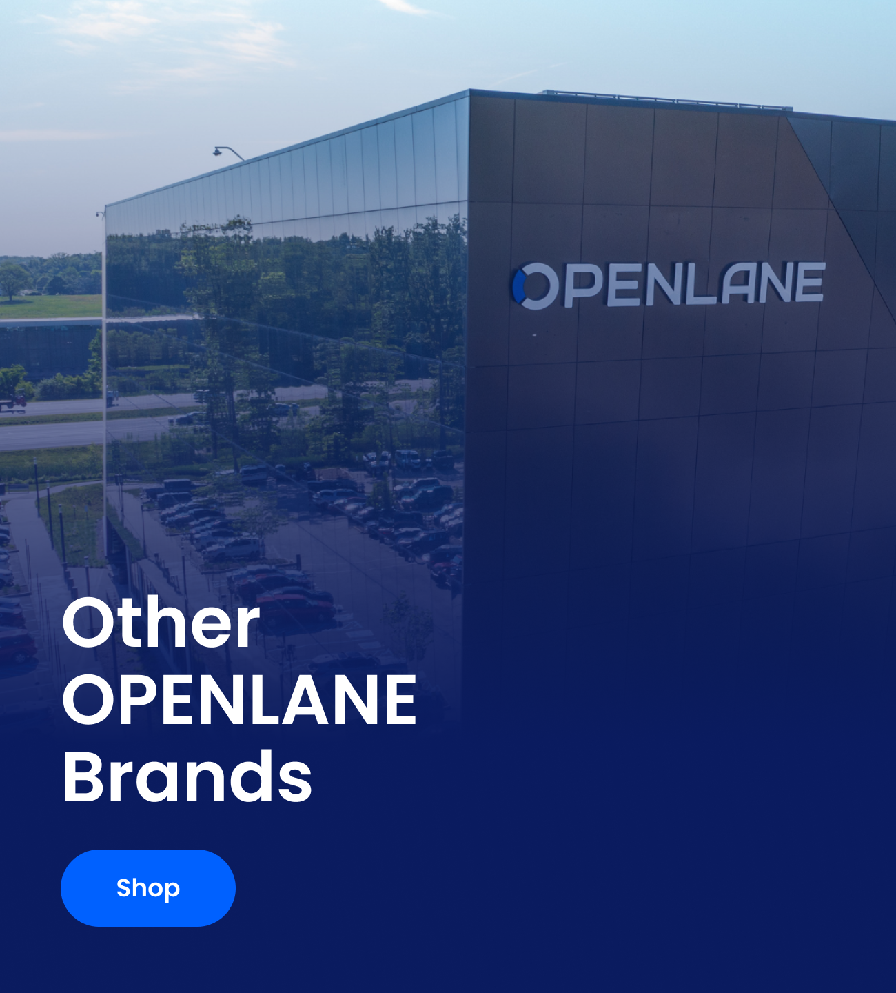 Other Brands