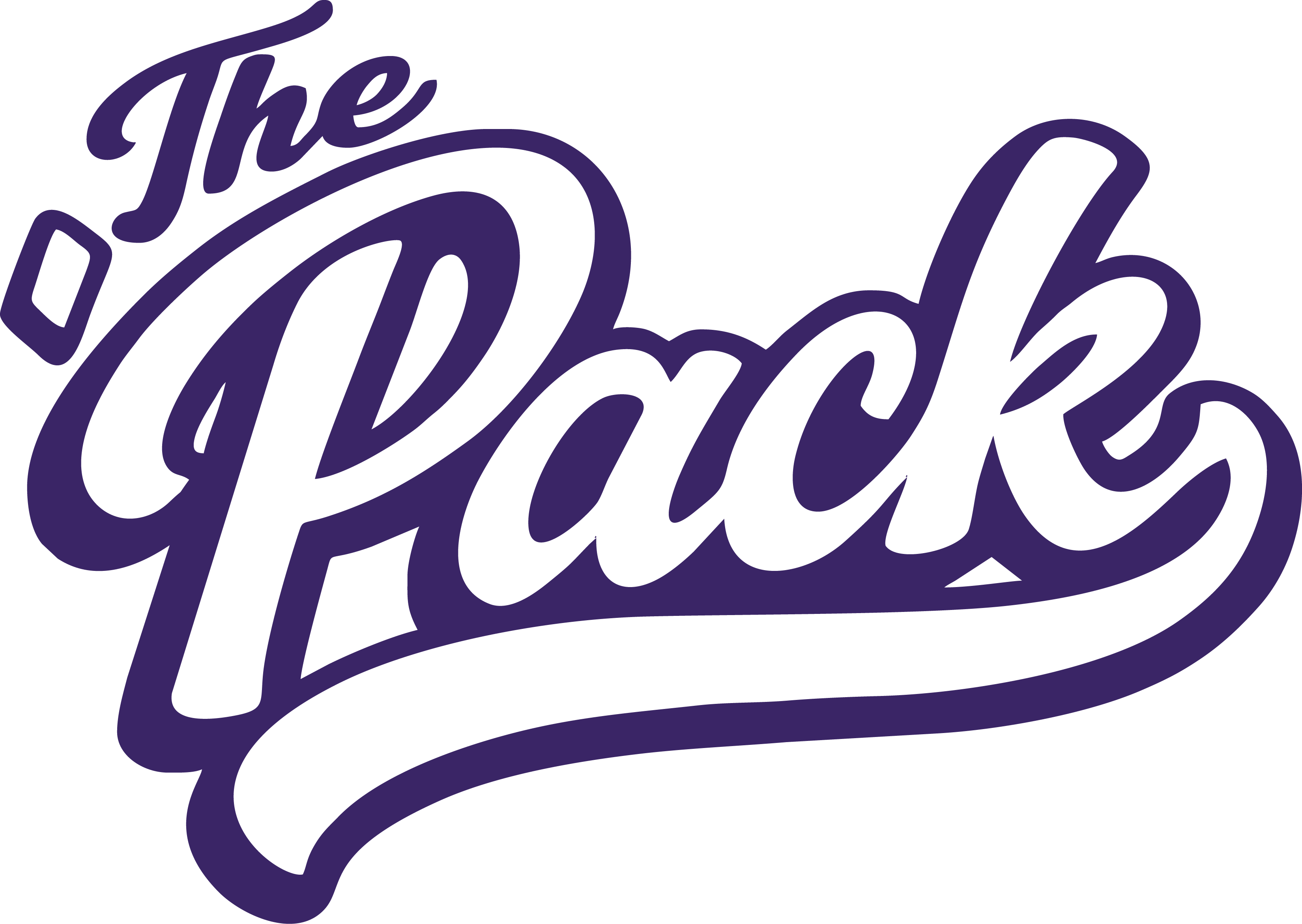 Ridgeview High School Spiritwear footer logo