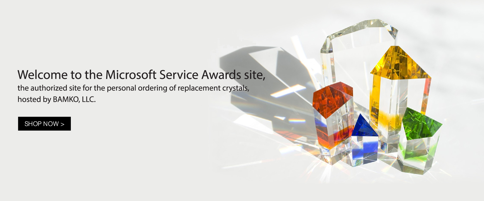 Microsoft Banner