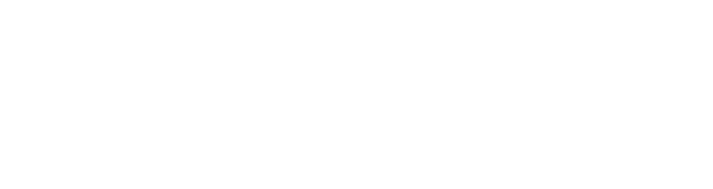 DDGNA footer logo