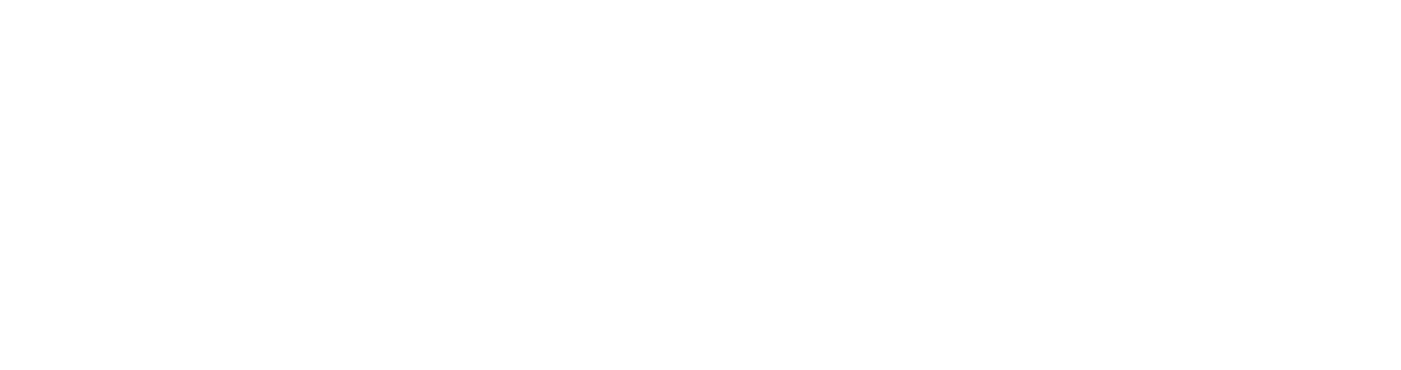 Havoc  AI footer logo