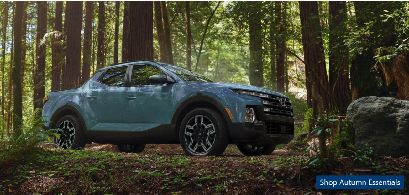 2025 Santa Cruz in a Forest "Shop Autumn Essentials"