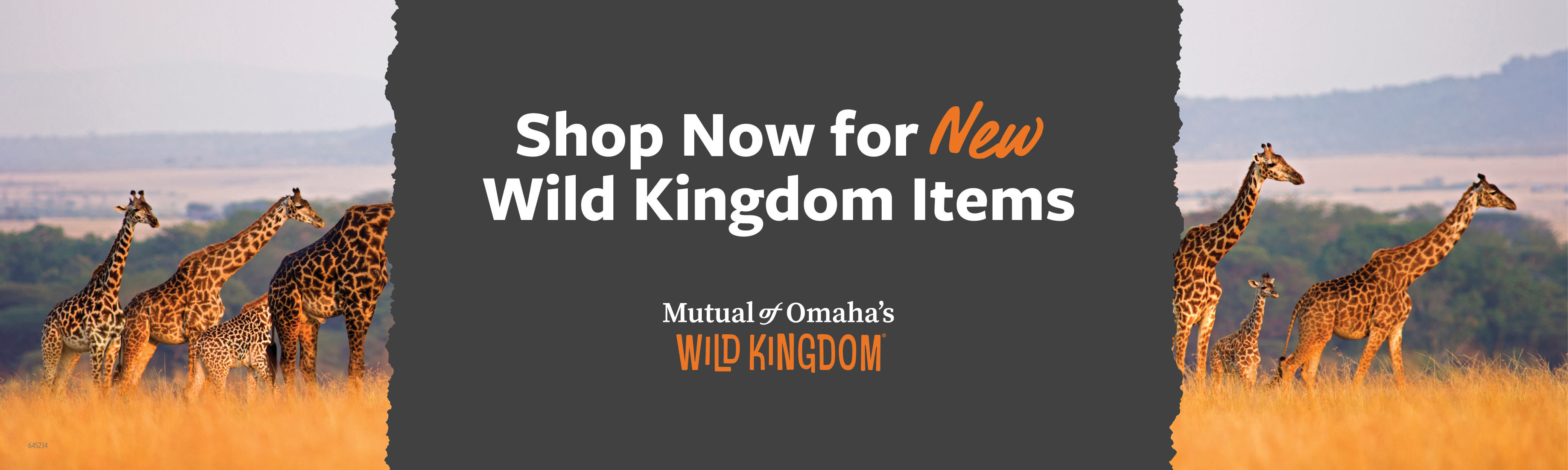 Lorem ipsum dolor sit amet