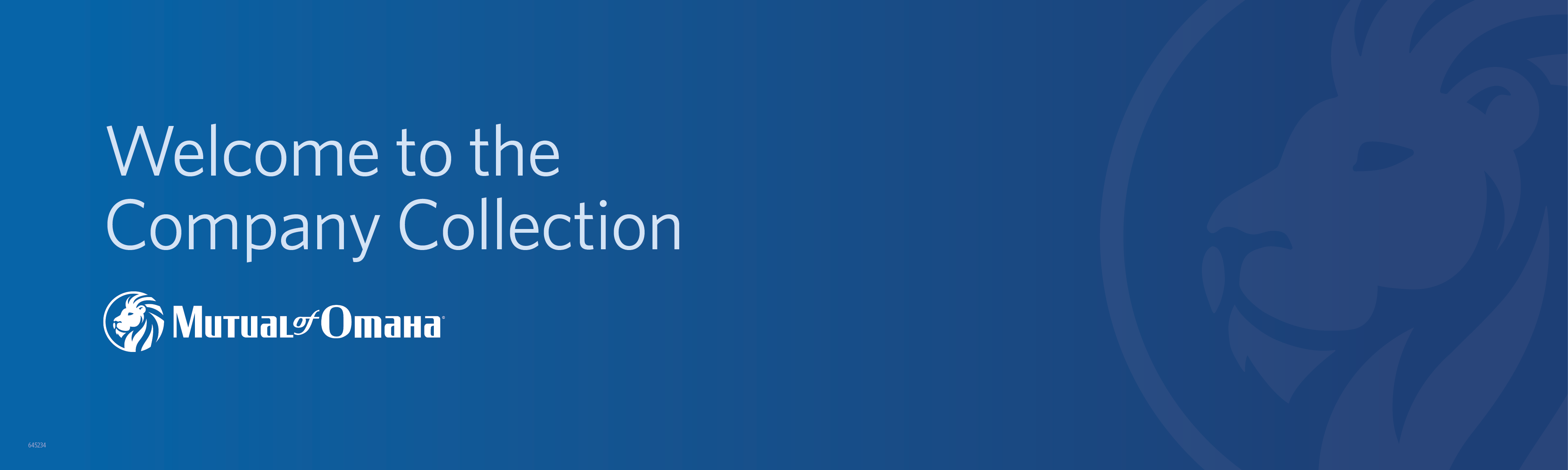 Lorem ipsum dolor sit amet