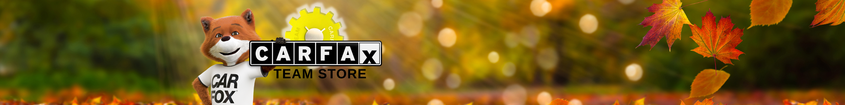Carfax Team Store logo