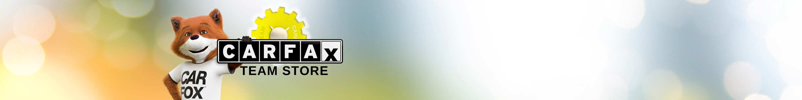 Carfax Team Store logo