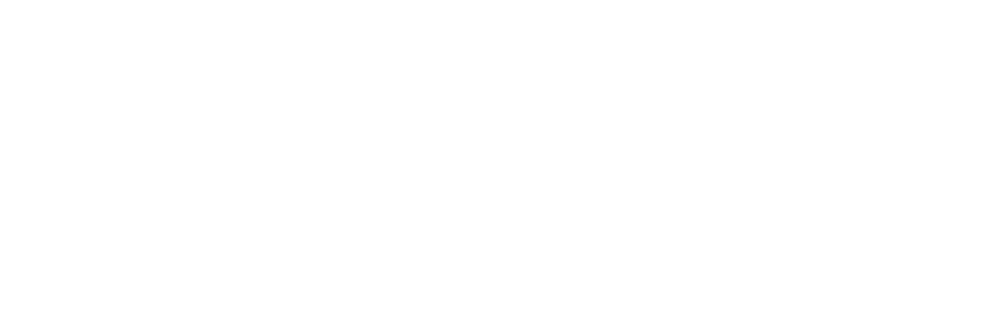 VSE Corporation Online Store footer logo