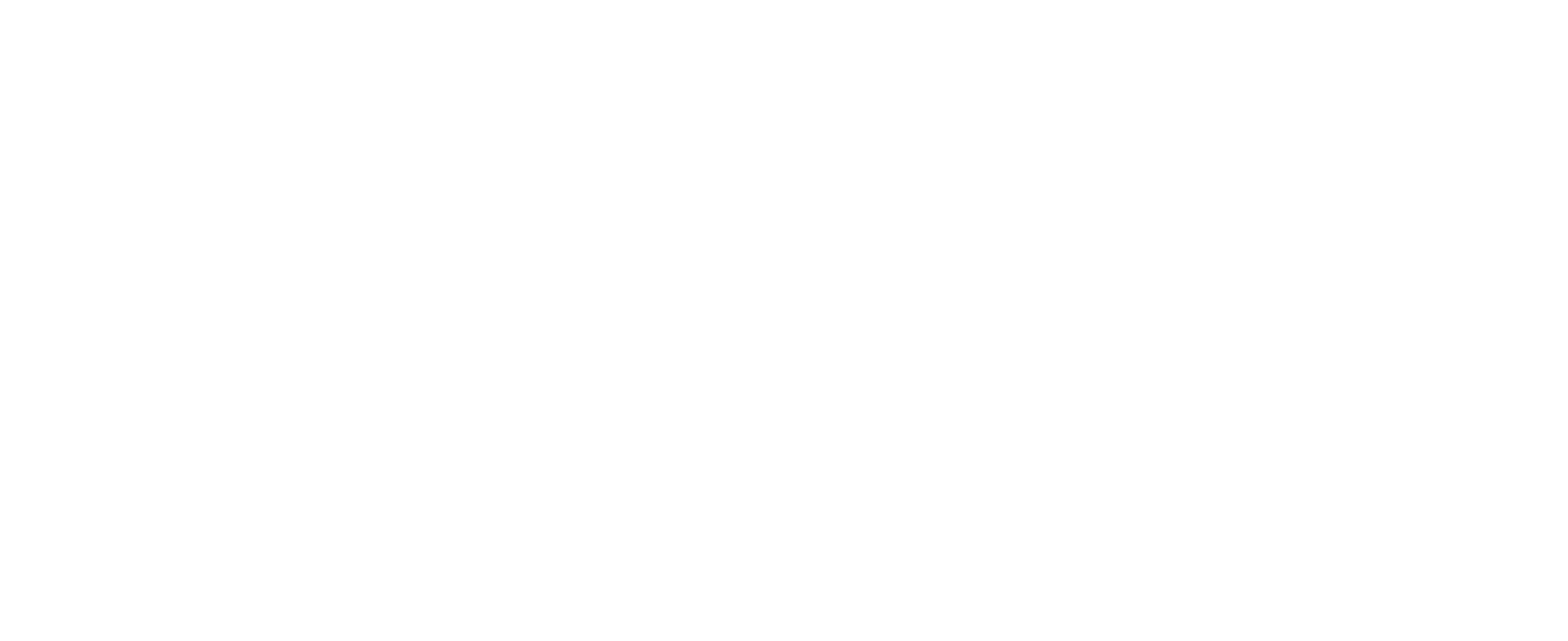 SwagHive footer logo