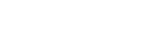 PMG Swag Store logo