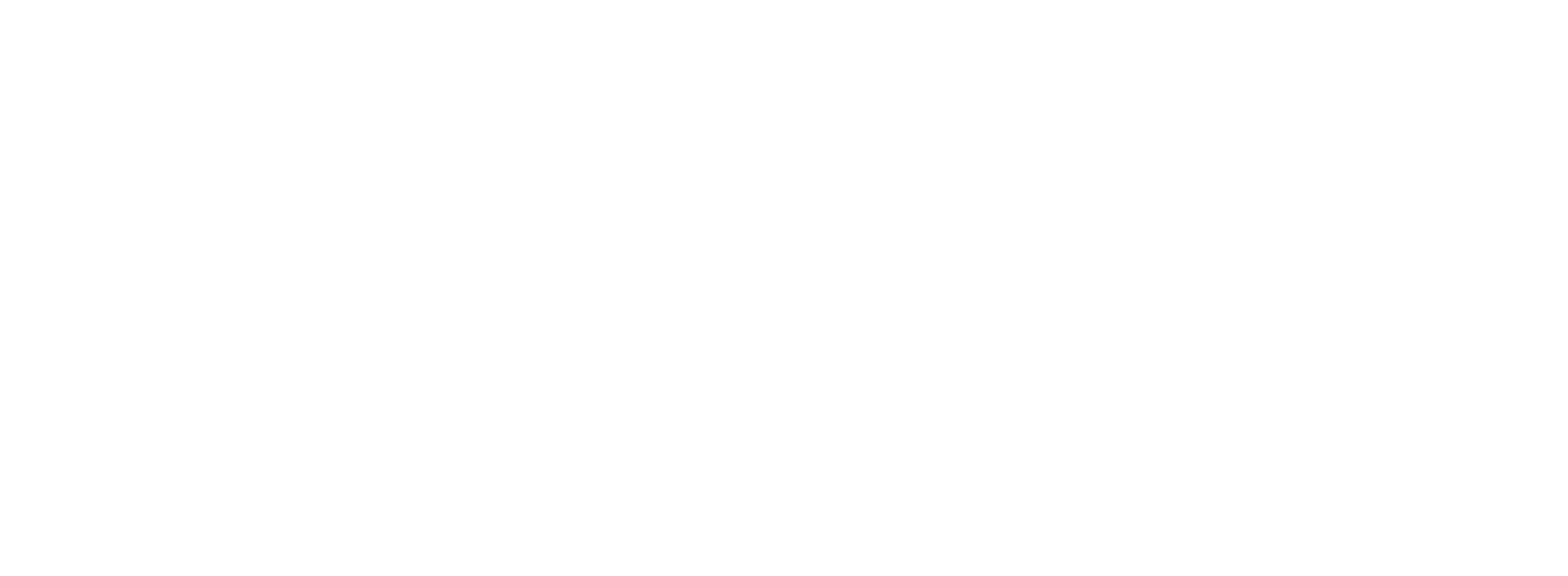 RCG Store logo