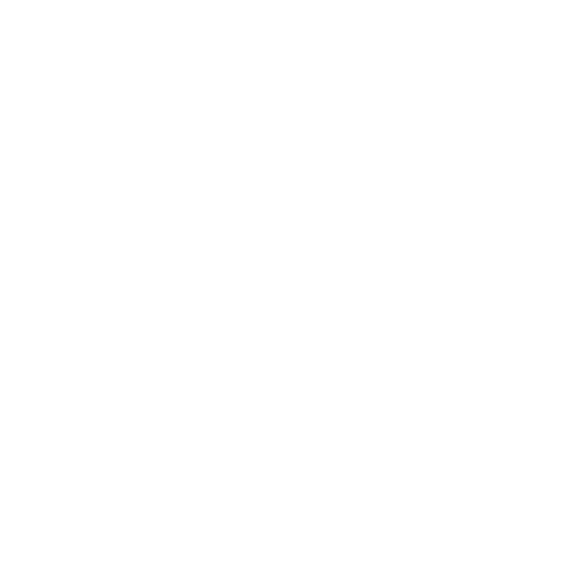 Sun Country Shop footer logo