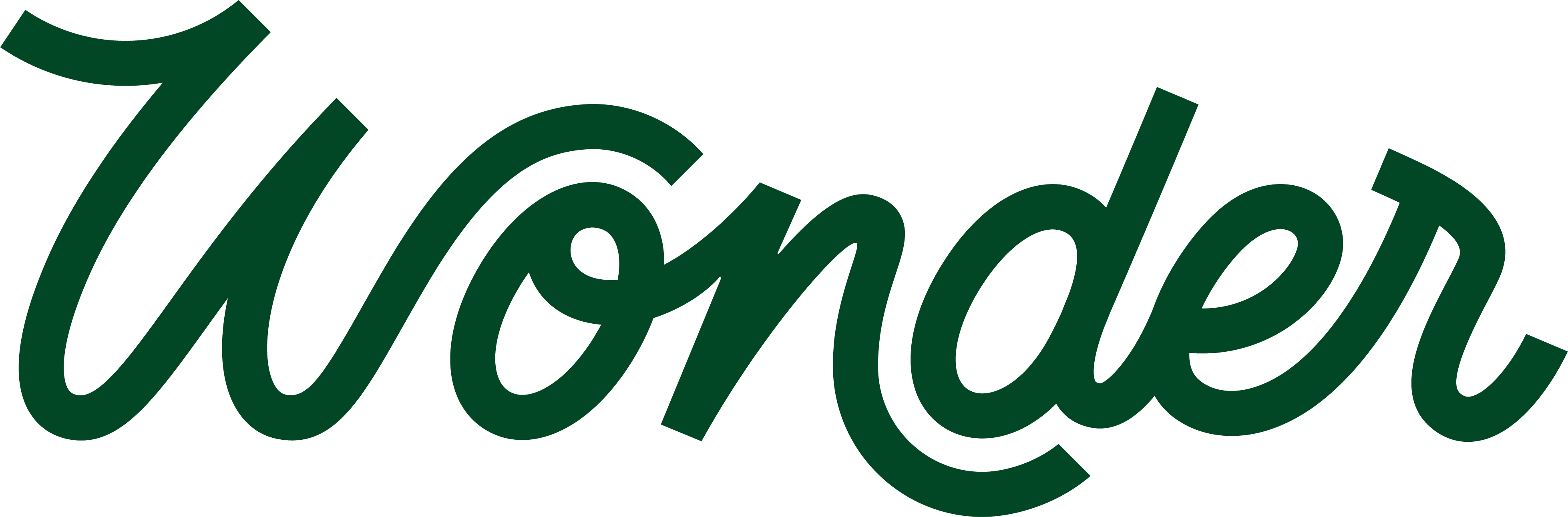 Wonder Swag Store logo