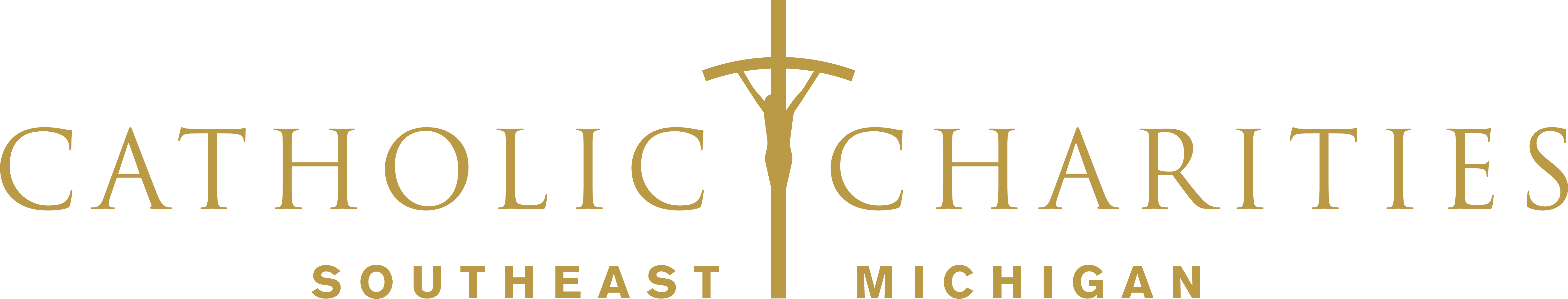CCSEM logo
