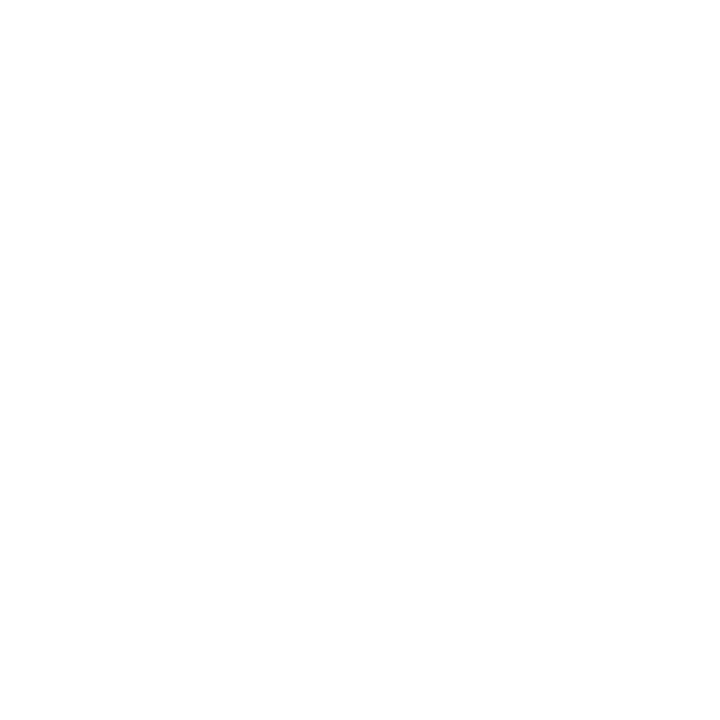 AnnieMac Store footer logo