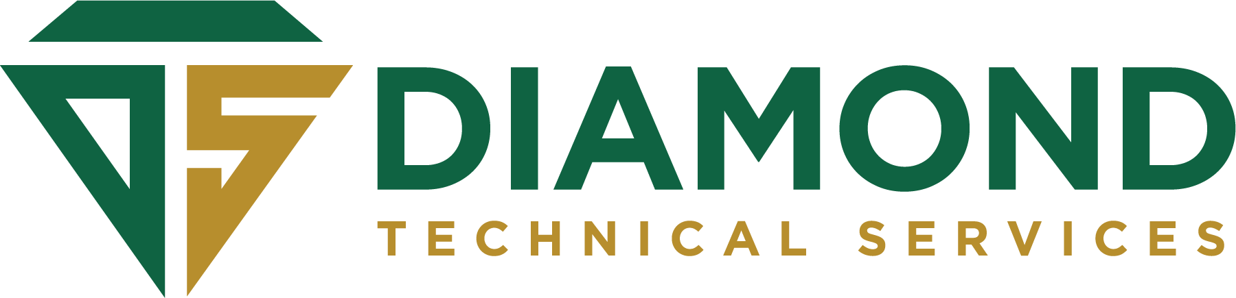 Diamond Technical Services logo