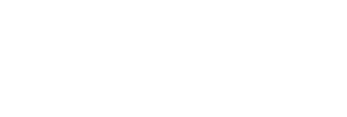 DLZ Store footer logo