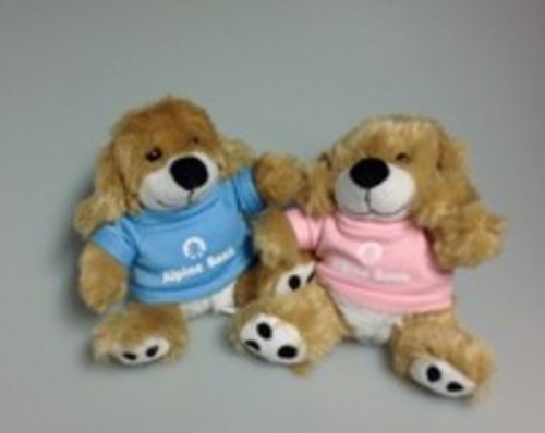 BIG PAW DOG image thumbnail