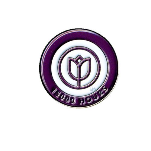 Lapel Pin - Caregiver Hours of Service image thumbnail