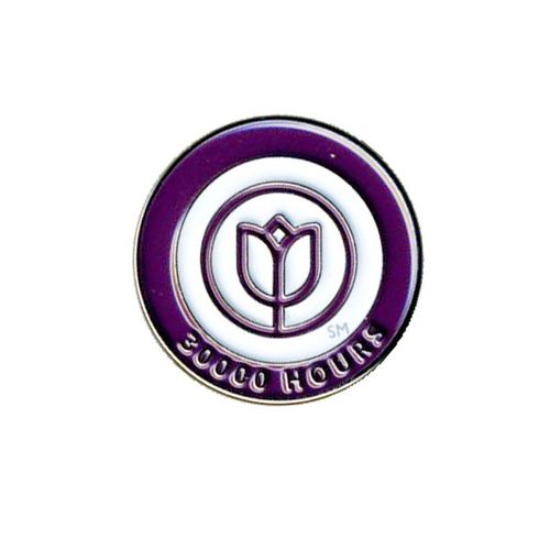 Lapel Pin - Caregiver Hours of Service image thumbnail