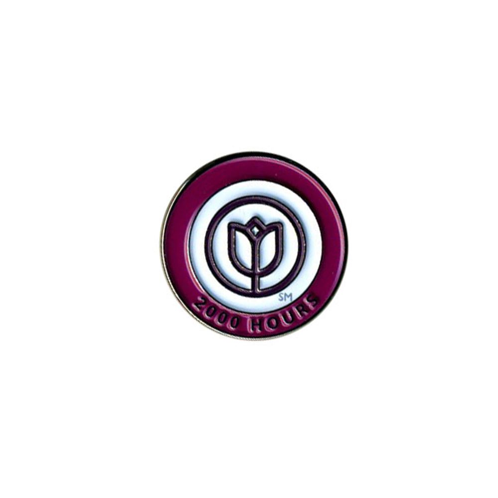 Lapel Pin - Caregiver Hours of Service primary image