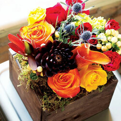 Image of Olive & Cocoa Farmhouse Fleur