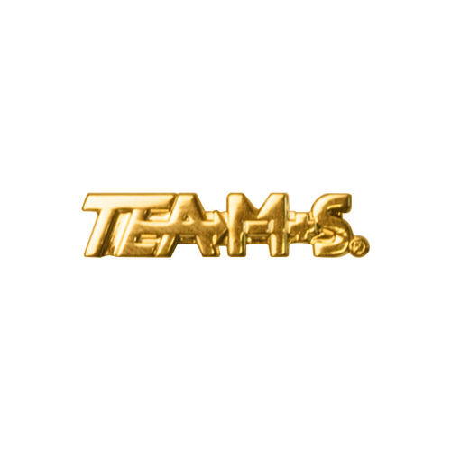 TEAMS Varsity Lapel Pin image thumbnail