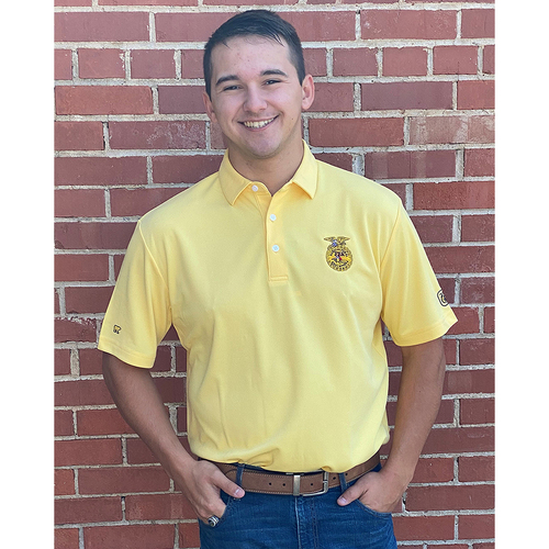 CLOSEOUT - Men's Classic Gold Polo - 4XL image thumbnail