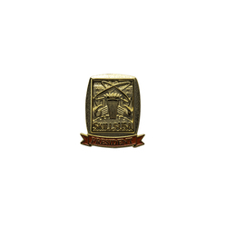 Image of Middle & High School Officers Pins