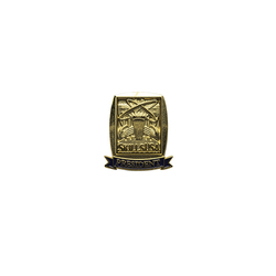 Image of Post Secondary Officer Pins