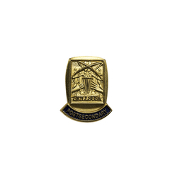 Image of Post Secondary Lapel Pin