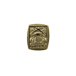 Image of High School Lapel Pin