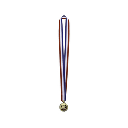 Image of Participant Medallion with Neck Ribbon