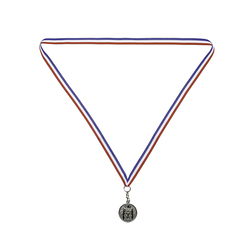 Image of Silver Sub-State Ribbon Medallion