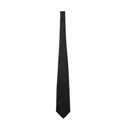 Image of Official Tie