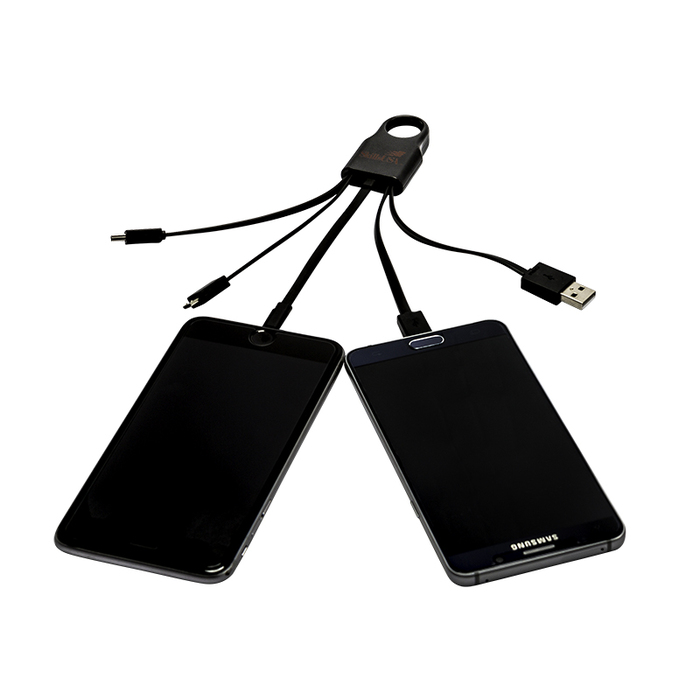 The Squid 4-in-1 Charging Cable primary image