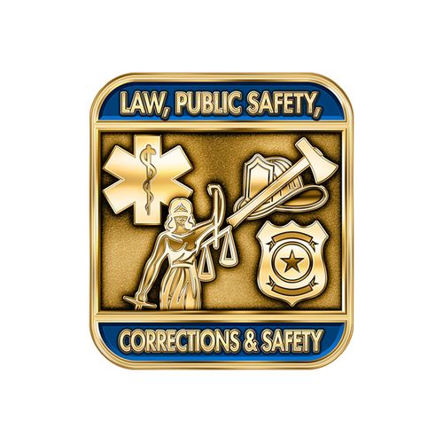 NEW Cluster Lapel Pins image thumbnail