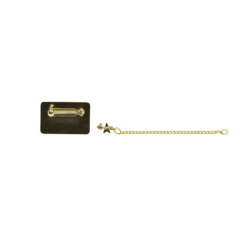 Officer Pins image thumbnail
