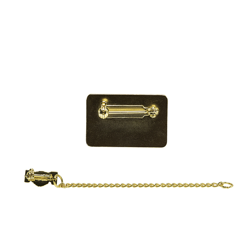 Officer Pins image thumbnail