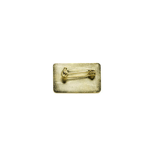 Advisor Pin image thumbnail