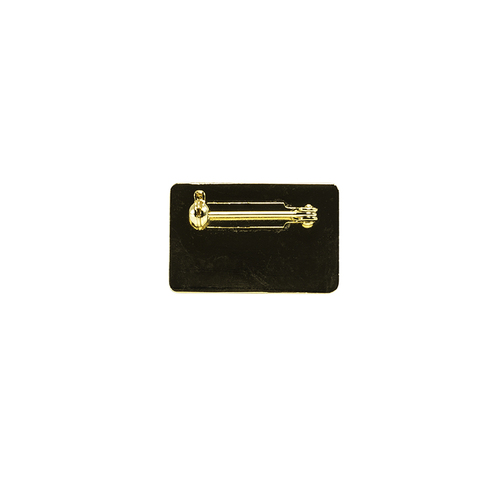 Alumni Pin image thumbnail