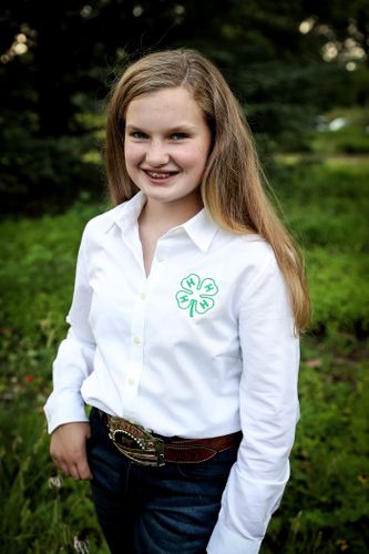 Ladies 4-H Oxford Shirt • XL Only image thumbnail