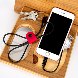 Image of "Donald" Charging Cable w/Vinyl Holder