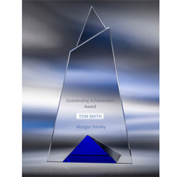 Image of Skyward Blu Award