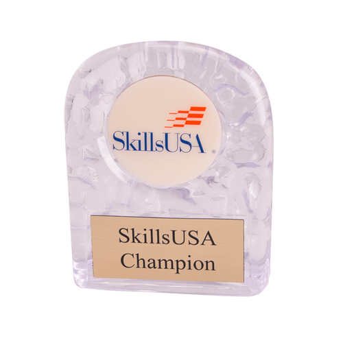 Sculpted Ice Award image thumbnail