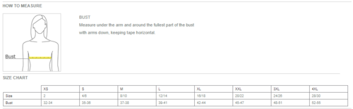 Ladies Stream Soft Shell Jacket. image thumbnail