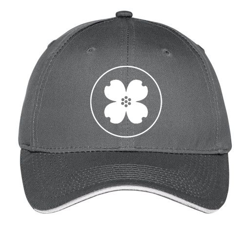 Port & Company Unstructured Sandwich Bill Cap. C919 image thumbnail