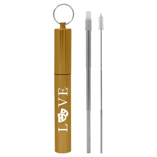 Collapsible Stainless Steel Straw Kit image thumbnail