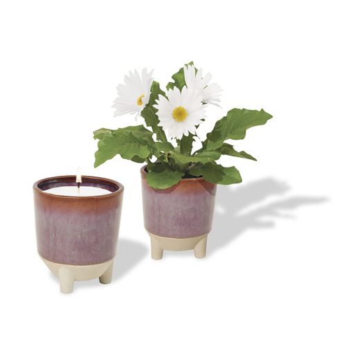 Modern Sprout Glow & Grow Live Well Gift Set  image thumbnail